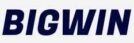 bigwin site